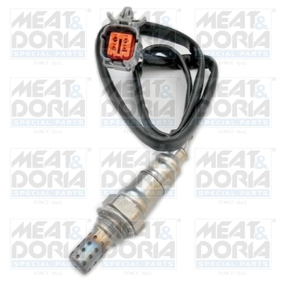 Oxygen Sensor